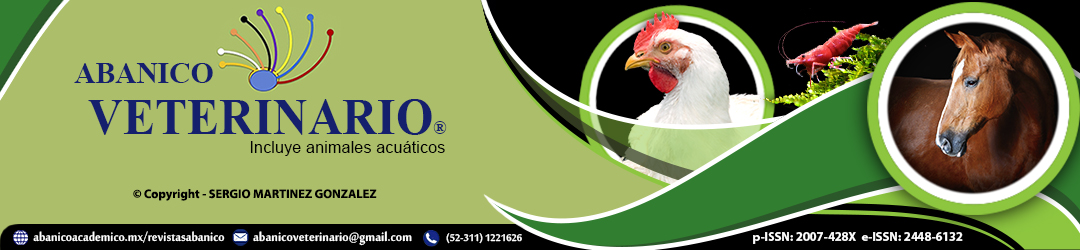 Encabezado de página