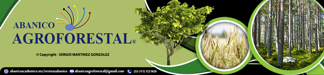 Encabezado de página